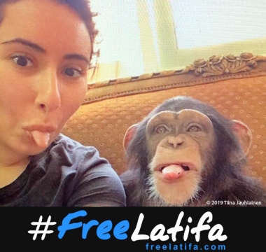 FL DH MERMAID SOCIAL MEDIA STANDARD MONKEY